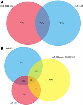 microRNA-Based Network and Pathway Analysis for Neuropathic Pain in Rodent Models